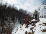 42 Entriamo nel bosco...